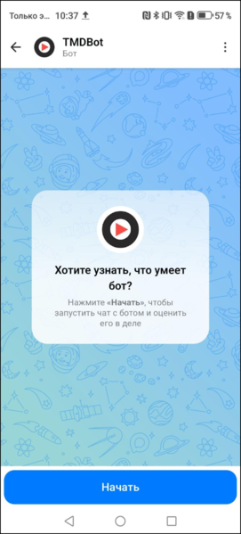 Файл:Макс-бот стартовый экран.png